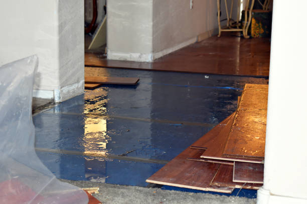 Professional Emergency Water Damage Restoration technician working in Hudson, MI