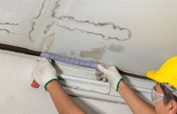 Reliable Emergency Water Damage Restoration contractor in Hudson, MI by Water Damage Irwin